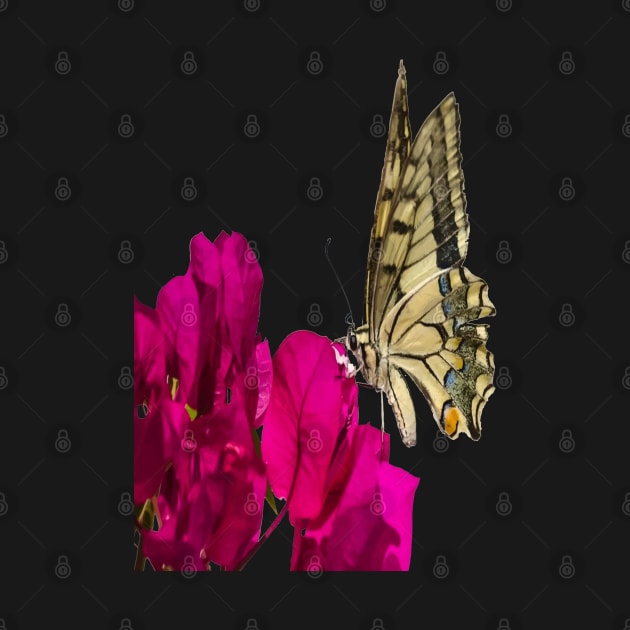 Swallowtail Butterfly On Bougainvillea Vector Art Cut Out by taiche
