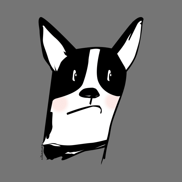 Boston Terrier by ilaamen