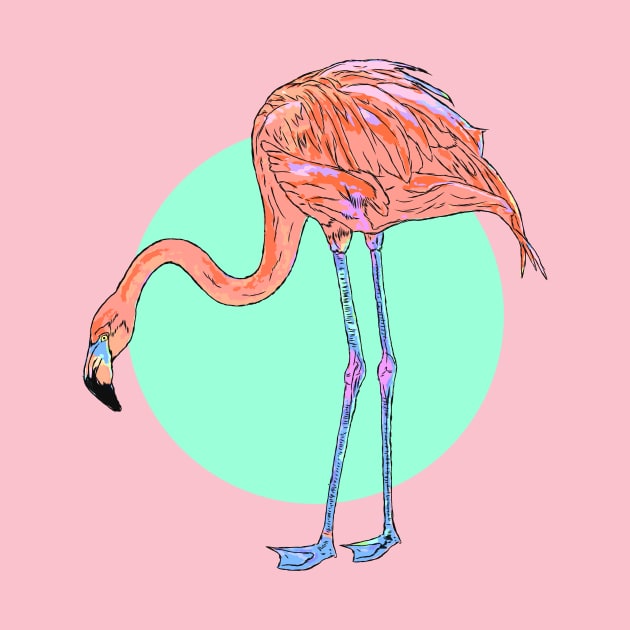 Flamingo by Brieana