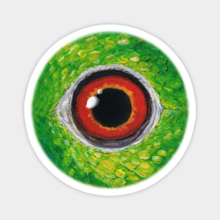 Amazon parrot eye Magnet