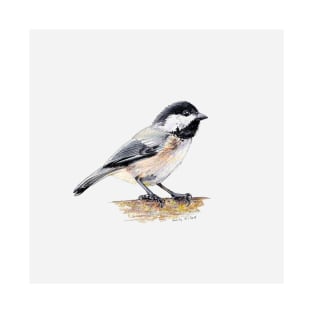 Chickadee drawing 7 T-Shirt