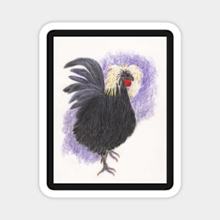 Old Weird Harold, White Crested Black Polish Rooster Magnet