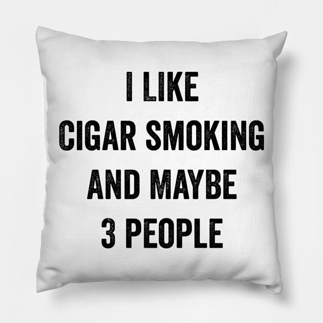 Cigar Smoking Lover Funny Gift Idea Pillow by Sarah Creations