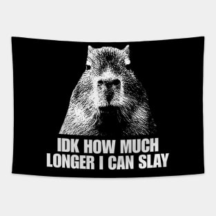 Idk How Much Longer I Can Slay Capybara Sarcastic Dank Meme Shirt Edgy Meme Quote Funny Meme Tapestry