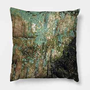 Abstract - Tree Bark Pillow