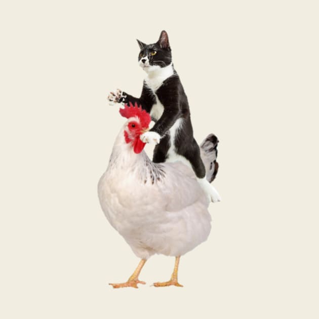 Tuxedo Cat on a Chicken by horse face