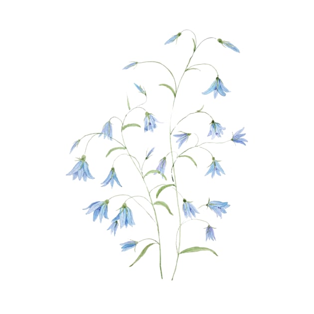 blue harebell flowers watercolor 2021 by colorandcolor