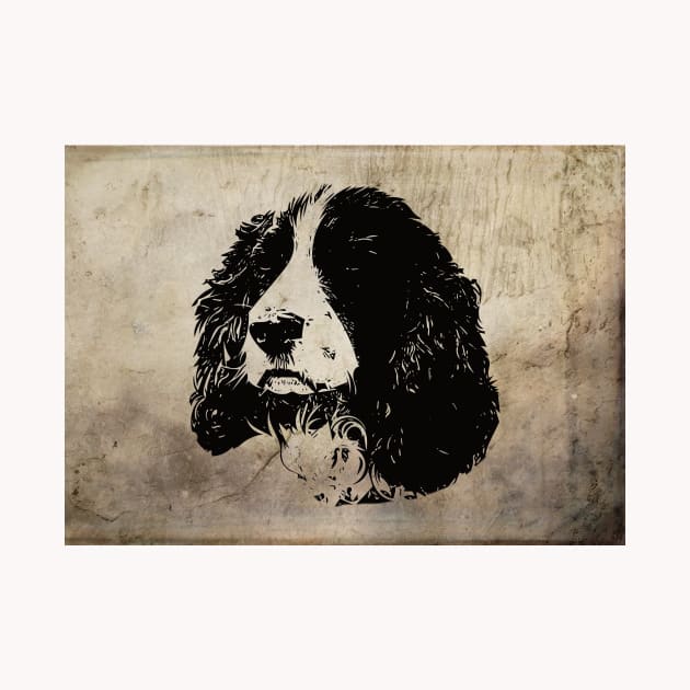 English Springer Spaniel by DoggyStyles