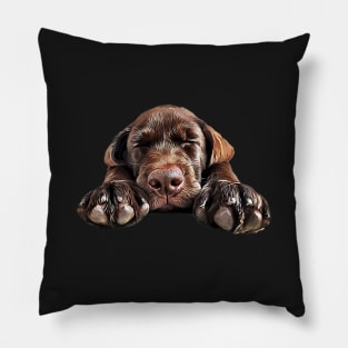 Labrador Chocolate Cutie Pillow