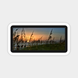 Sunset On Anna Maria Island Magnet