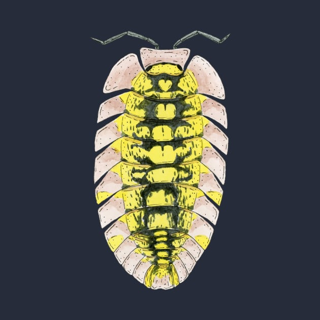 Pyrgoniscus luteus Isopod by paintedpansy