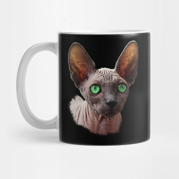 Naked Cat Sphynx Cat Sphynx Cats Mug Teepublic