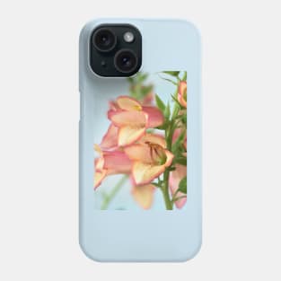 Digitalis x valinii  Illumination Pink = 'Tmdgfp001'  Foxglove  Illumination Series Phone Case