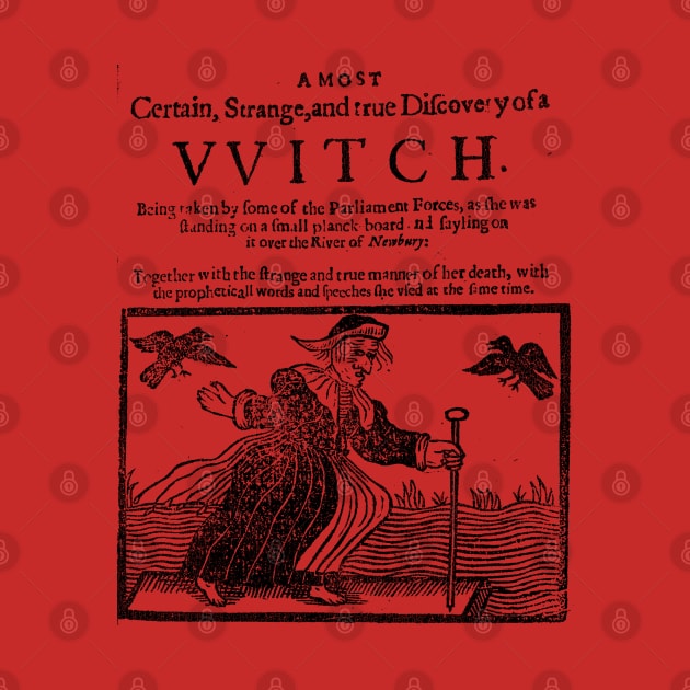 The VVitch / The Witch by darklordpug