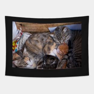 Morocco - Family cat Tapestry