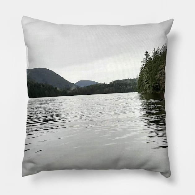 Vancouver Island Scenery Pillow by ReignyNightz