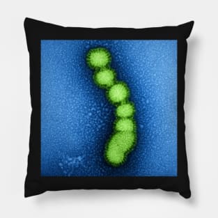 Swine Flu Virus, Influenza TEM Micrograph, Blue and Green Pillow