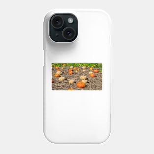 Pumpkin patch view Phone Case