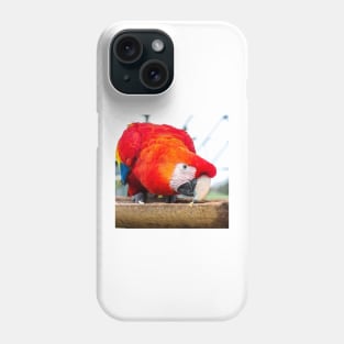 Macaw Parrot Phone Case