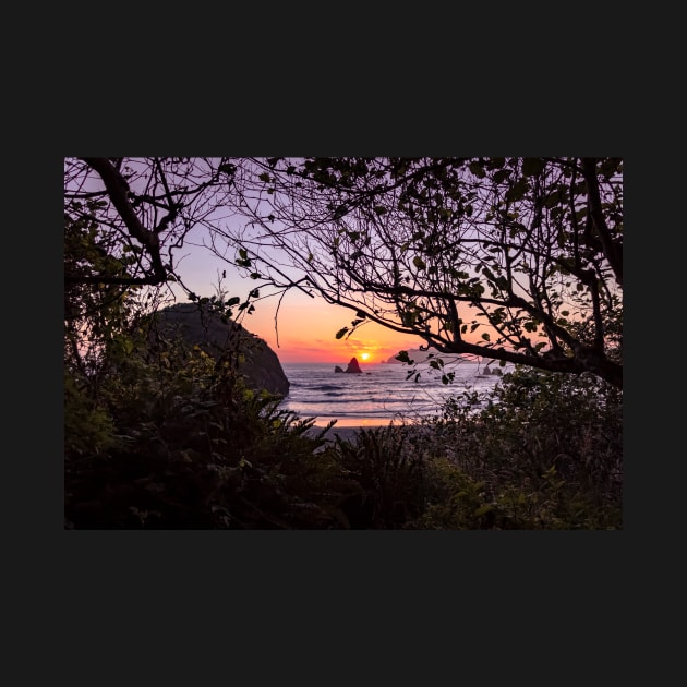 Houda Point Beach through trees by blossomcophoto