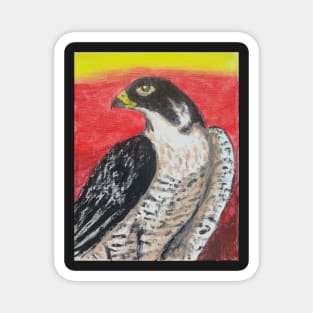 Peregrine Falcon Magnet