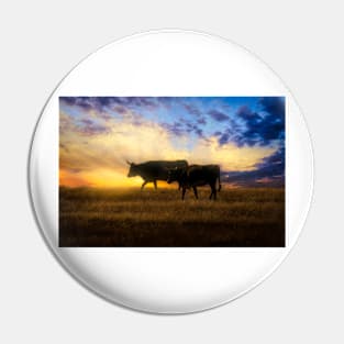 Pair Of Cows At Sunset photograph Pin