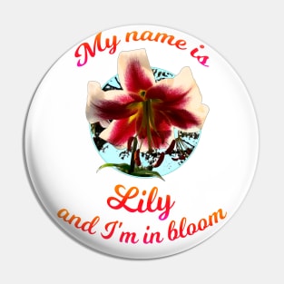 My name is Lily Pin