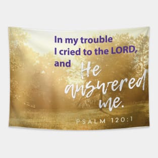 In my trouble I cried to the Lord and He answered me.  Psalm 120:1 Tapestry