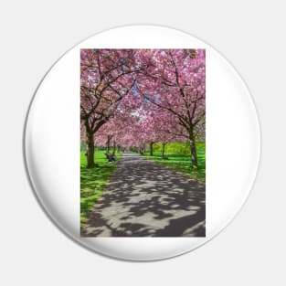 Cherry blossom in Greenwich Park in London Pin
