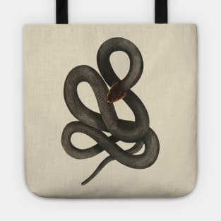 serpent,cobra,reptile,viper,venom,lizard,rattlesnake,king cobra,dragon,hydra,poison,venomous,plumber's snake,pythonidae,pythons,auger,python,squamata,serpentine,worm,big,ophidian,rattlesnakes,medusa,snakebite Tote