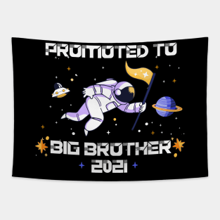 big brother 2021 boy astronaut pregancy announcement Tapestry