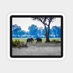 Two young bull elephants Magnet