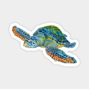 Sea Turtle Magnet