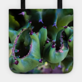 Abstract view from a cactus part Tote