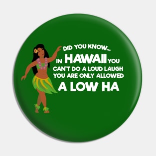 Funny Hawaii  Aloha Dad Joke Pin