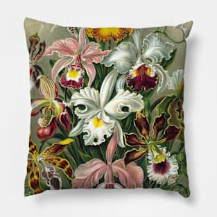 Orchid Vintage Botanical Illustration Pillow