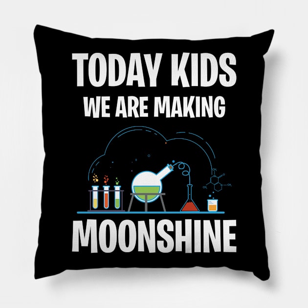 Moonshine Whiskey, Whisky, Scotch Drinker Pillow by KultureinDeezign