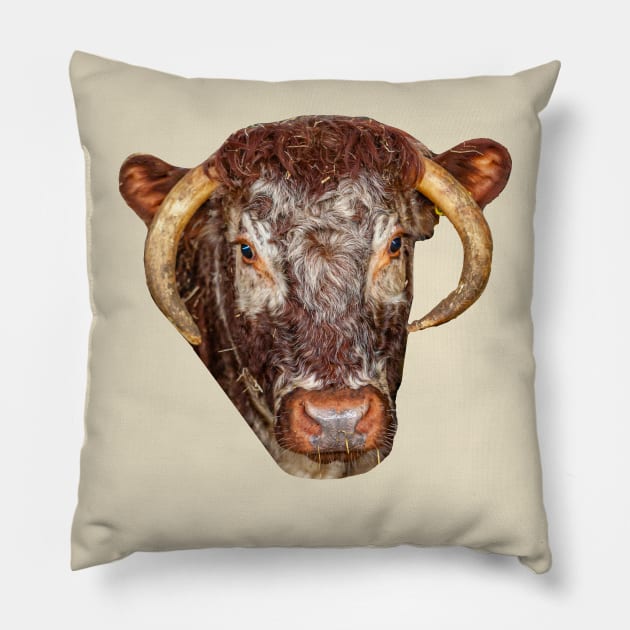 Long horn cow Pillow by dalyndigaital2@gmail.com