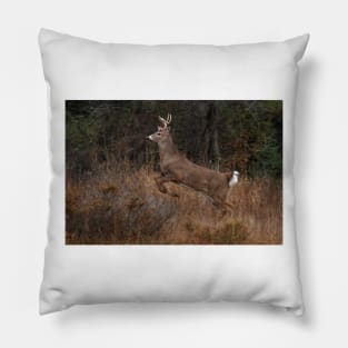 Early Morning Buck - White-tailed Deer Pillow