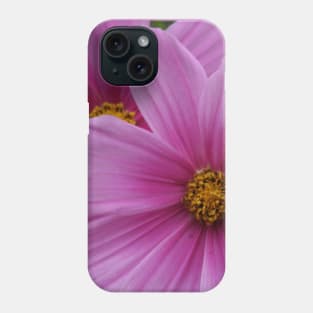 Two Pink Flowers Cosmo Daisies Macro Phone Case