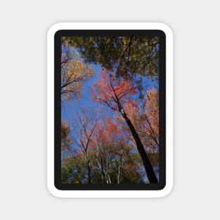 New England Foliage Feast Magnet