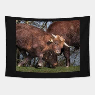 Bulls Tapestry