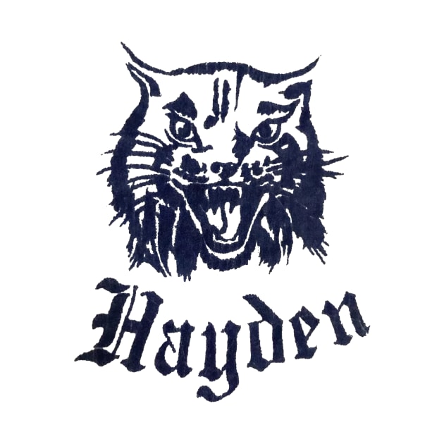 Hayden High by TopCityMotherland