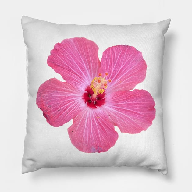 Dark Pink Hibiscus Flower Pillow by Sparkleweather