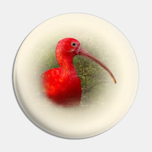 Scarlet ibis Pin