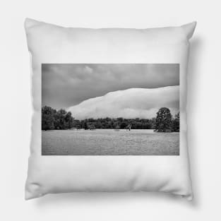 STL Flood Study 4 Pillow