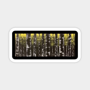 Black and White Birch Trees with Yellow Leaves Magnet