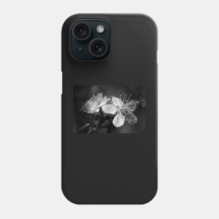 Cherry Tree Blossoms Phone Case