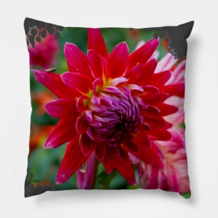 Dahlia Flower Pillow