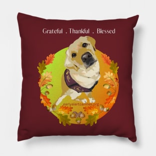 Early Alert Thanksgiving! Pillow